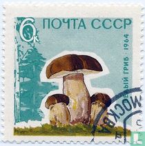 Mushrooms
