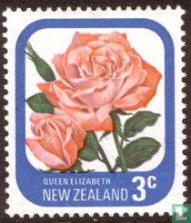 Roses acheter