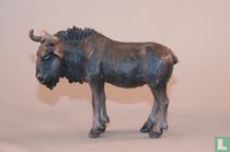 Wildebeest