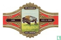 Rimbou 01 Wilde Tiere zigarrenbänder katalog