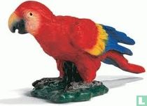 Parrot Red