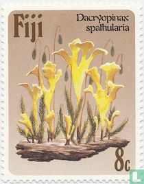 Pilze