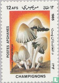 Paddenstoelen
