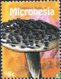 Mushrooms