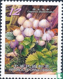 Pilze