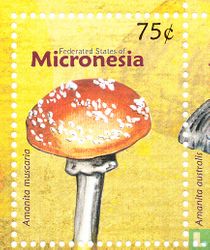 Mushrooms