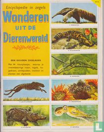 Wonderen uit de dierenwereld