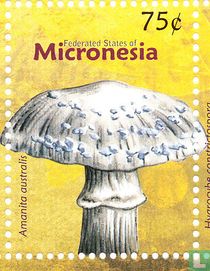 Mushrooms
