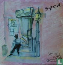 Say Hello Wave Goodbye