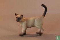 chat birman