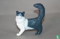 Maine Coon