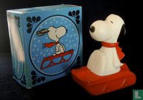 Snoopy's snow flyer bubble bath