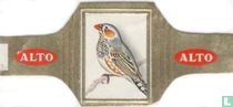 Vogels (rood) (Ornithos) sigarenbandjes catalogus