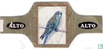 Vögel (schwarz) (Ornithos) zigarrenbänder katalog
