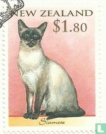 Les chats
