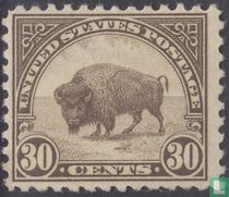 Bison d'Amérique