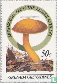 Champignons