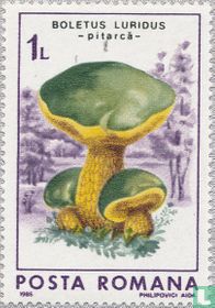 Champignons