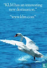 KLM zwaan - KLM.com (01)