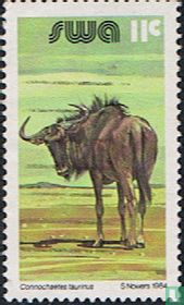 Wildebeest for sale