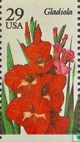 Garden Flowers for sale
