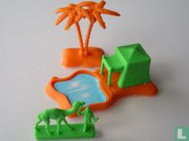 Oasis