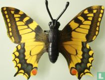 Machaon Papilo