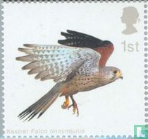 Oiseaux de proie