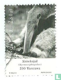 Zoo animal
