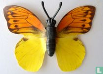 Hebomoia Leucippe
