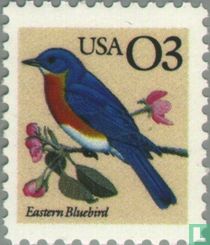 Oiseaux