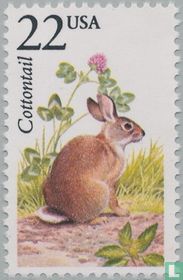 Faune nord-américaine