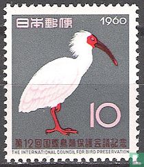 Nipponibis