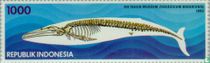 Zoologisches Museum 1894-1994