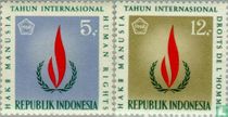 International year of human rights