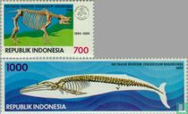 1994 Zoölogisch museum 1894-1994 (IND 531)