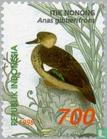 Eenden