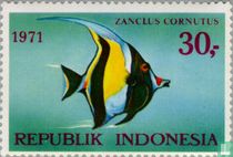 Native fish for sale