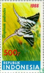 Butterflies for sale