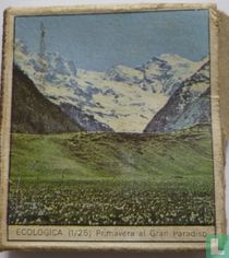Primavera al Gran Paradiso