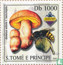 Mushrooms and Wasps