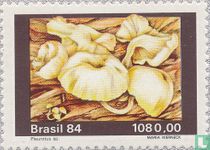 Champignons