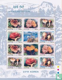 Paektu champignons dans les montagnes  