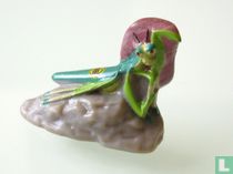 Mantis