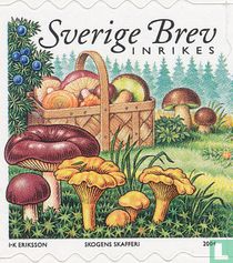 Berries and Mushrooms for sale