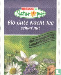 Bio-Gute Nacht-Tee 
