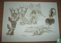 'Mijn dieren / Mes animaux'