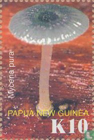 Mushrooms        