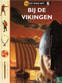 Bij de Vikingen