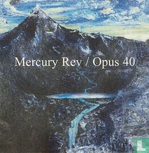 Opus 40
